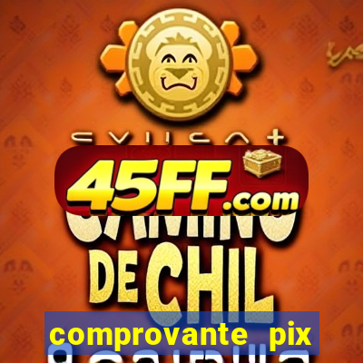 comprovante pix fake meme